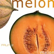 Fruit 2 Melon